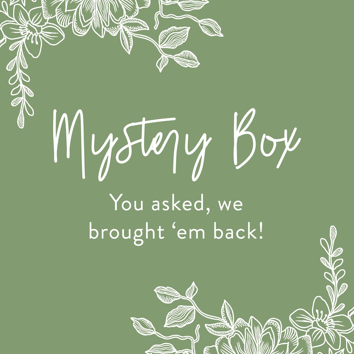 Mystery Boxes!