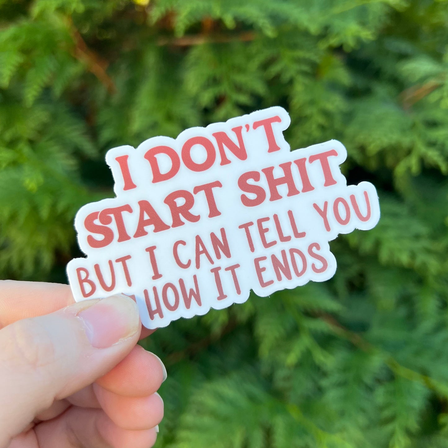 I Don't Start Shit But I Can Tell You How it Ends Die Cut Sticker